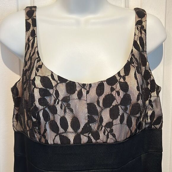 Jones New York Black/ Nude Lace‎ Sleeveless Empire Waist  Dress Sz 12 Nwt - Picture 2 of 14